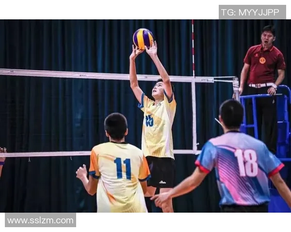 深圳排球队的崛起之路全运会背后的奋斗与荣耀故事 深圳排球队的崛起之路全运会背后的奋斗与荣耀故事