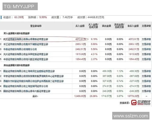 广州篮球队在挑战赛中的团队协作表现分析与点评展望